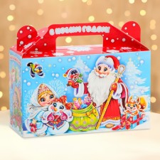 New Year. The gift box New Year's gift is small 