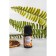 Natural orange essential oil, 8 ml