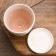 Flower Pot "Ribbon" White Crocus No. 3 2.3 liters