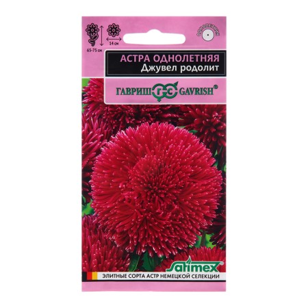 Astra Seeds "Javel Rodolite", one -year -old,