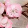 Artificial flowers "Sakura branch" 3x60 cm, pink