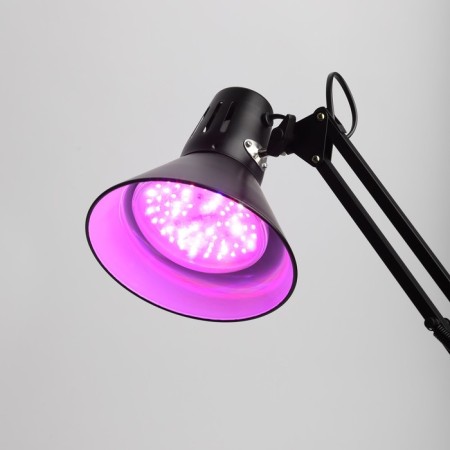Phytolamp for plants LED era Fito-18W-Rb-E27 red-blue spectrum 18 W E27-9