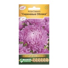 Flowers of Astra Siring Lilac clouds, 0.1 g