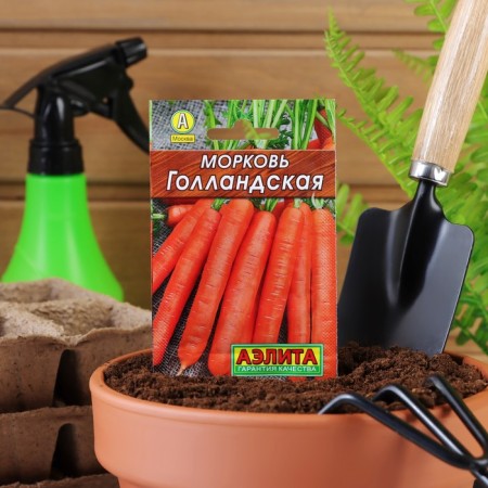 Carrots "Dutch" "Leader", 2 g,-4