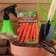 Carrots "Dutch" "Leader", 2 g,