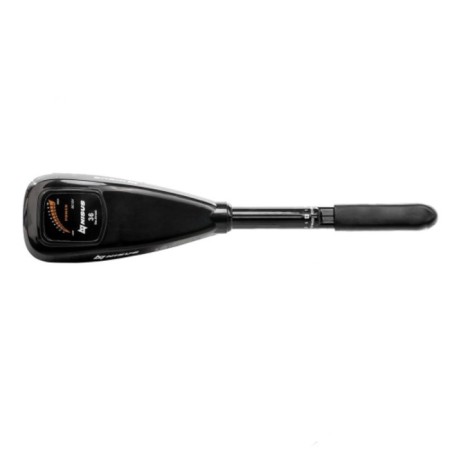 Electric motor boat NISUS 36 LBS-3