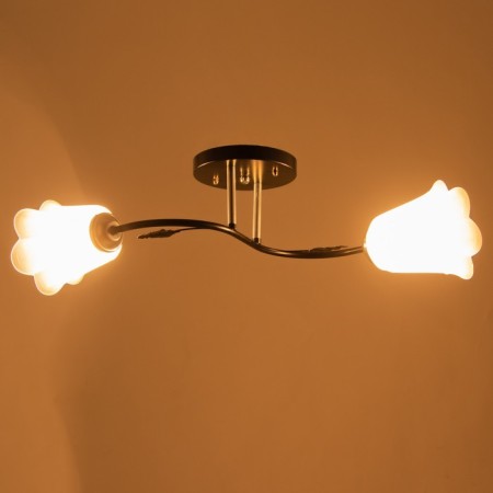 Lily chandelier (flower) 2x15W E27 Model: BR 00253 Black/Transparent-2