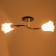 Lily chandelier (flower) 2x15W E27 Model: BR 00253 Black/Transparent