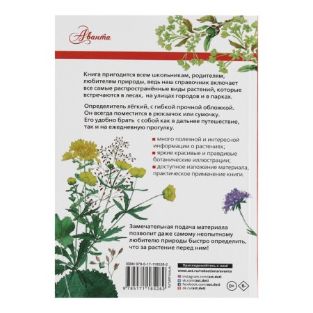 Plants of Russia. The best determinant.-6