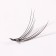 A set of overhead eyelashes "Lastochkin tail", bundles, 14 mm, thickness 0.07 mm, bend C, 12 D
