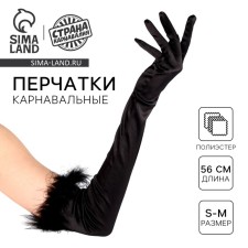 Carnival accessories with feathers, black color
