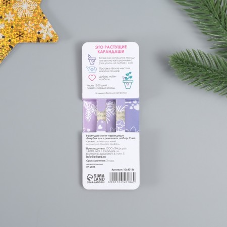 Growing gift pencils Mini "Blue spruce + chamomile" set 2 pcs.-2