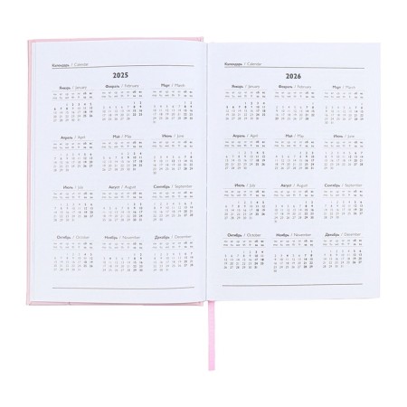 Dated 2025 diary, A5, 176 sheets of Escalada, a solid cover of artificial leather with foam rubber, pancake embossing, liesse, block 70 g/m2, pink-7