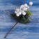 Decor "Winter Lighting" Berries of the Starry Leaves, 19 cm