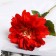Artificial flowers "Georgin Extra Galant" 60 cm D-15 cm, burgundy