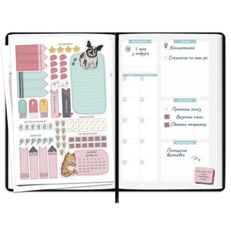 School School A5 80 sheets "Black Ploner", solid cover of artificial leather, foil embossing, lies, reference material, block 70 g/m2-10