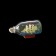 Ship in the bottle "Esania", triangular sails, mix, 14*6*8cm