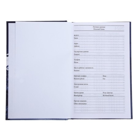Diaumer of the Ned -Listed A5, 128 sheets of the "mountain", solid cover, glossy lamination-13