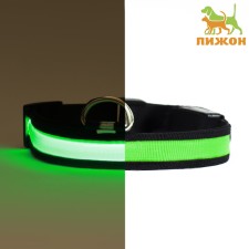 Collar with flash light 3 light modes, size XL, Osh 52-60 x 2.5 cm Green