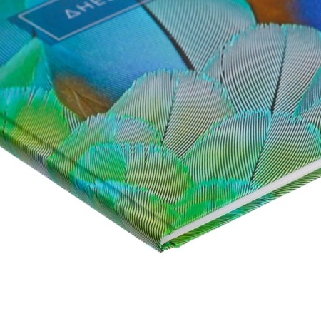 Diary for grades 5-11, "feathers 2", solid cover 7BC, matte lamination, selective varnish, 48 sheets-2