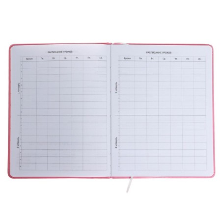 Universal diary for grade 1-11 "muzzle. Kotik", solid cover, artificial leather, foam rubber, liesa, 80 g/m2-4