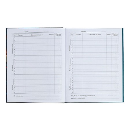 Diary for grades 5-11 anime. Girl, hard cover, glossy lamination, 48 sheets-6