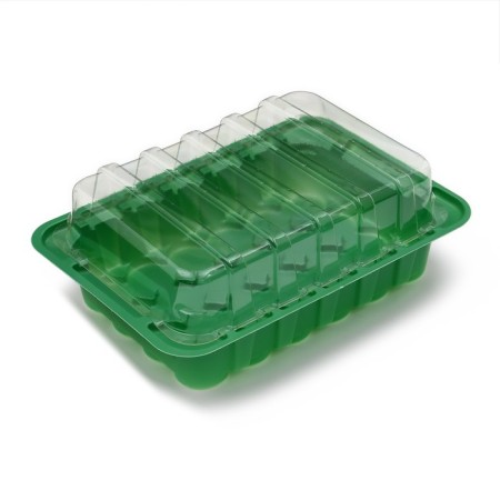 Mini-Piratery for seedlings, 24 × 17 × 5 cm, 24 cells for seedlings d = 3 cm, Greengo-2