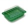 Mini-Piratery for seedlings, 24 × 17 × 5 cm, 24 cells for seedlings d = 3 cm, Greengo