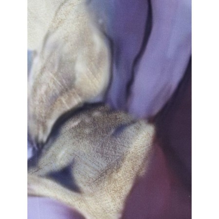 Bed linen 2 joint venture Iris, size 215x235 cm, 175x210 cm, 50x70 cm - 2 pcs, 70x70 cm - 2 pcs-3