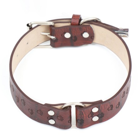 A collar with a base made of thermoplastic rubber with a paw embossing, 58 x 2.7 cm-1