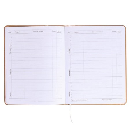 Universal diary for grades 1-11, hard cover, artificial leather, foam rubber, silkography, liesse, 80 g/m2-6