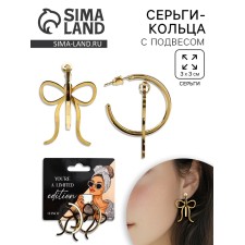 Earrings - Rings with a suspension of Limited Edition, 3 cm