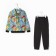 Costume for a boy (sweatshirt, trousers), gray/dino color, height 116 cm