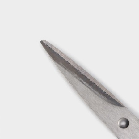 A set of kitchen knives on the ardone stand, 7 objects: 5 knives, musat and scissors, chrome color-7