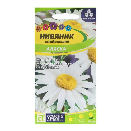Flower seeds Nyvynik "Alaska", 0.1 g