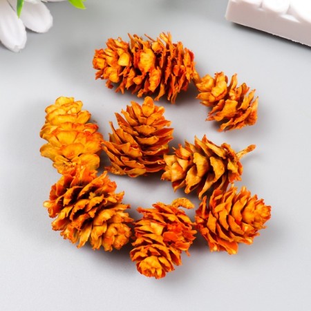 Decor for creativity "Pine orange bump" size 2-4 cm
