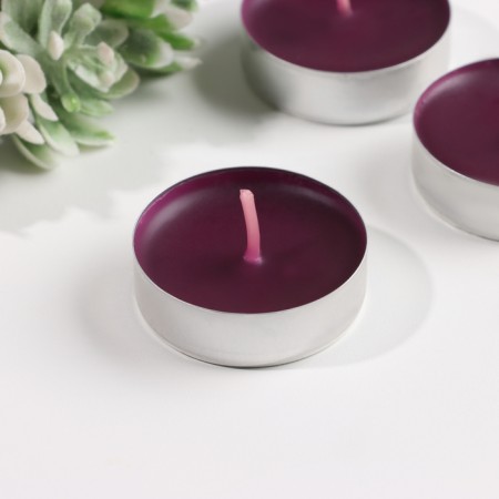 A set of tea candles flavored "Tuscan grapes", 10g, 9 pieces-2