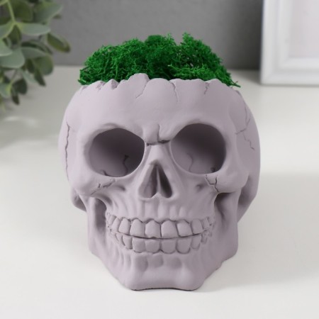 Kashpo concrete "skull" height 10 cm gray with moss (moss green stabilized)