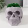 Kashpo concrete "skull" height 10 cm gray with moss (moss green stabilized)
