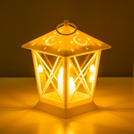 Night night "LED" from the batteries white 11.5x11.5x16.5 cm Risalux-2