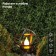 Lamp on the solar battery "Era", "loft", 26x17 cm, IP44, 3LED, orange