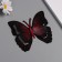 Plastic sticker "Black butterflies with red" double wings set 12 pcs 12 cm, 10 cm 8 cm