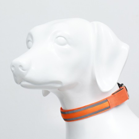 Collar with backlight double strip size m, osh 40-48 x 2.5 cm, 3 glow modes Orange-2