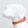 Collar with backlight double strip size m, osh 40-48 x 2.5 cm, 3 glow modes Orange
