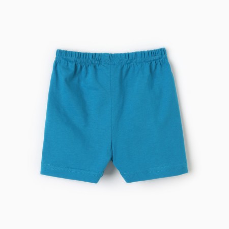 Shorts for a boy, sea color, height 80 cm-2