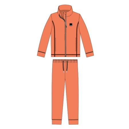 Kit for girls: sweatshirt, trousers, height 146 cm-6
