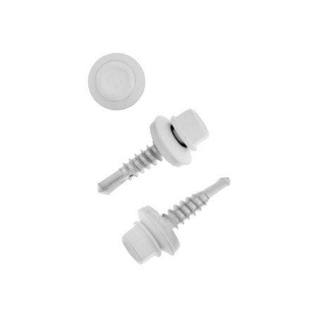 Roofing screws, Haupt 5.5x25 Ral9003, white 250 pcs