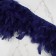 Tesema with feathers turkey, 13-17 cm, 5 ± 0.5 m, dark blue color