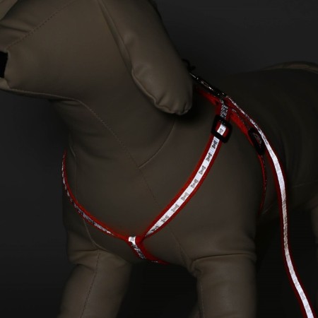 The reflective “bones” set, a collar of 120 x 1 cm, Osh 24-40 cm, fire 24-40 cm orange-1
