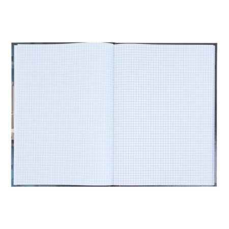 A4 accounting book, 96 sheets in the cell "megapolis", solid cover, offset block-2